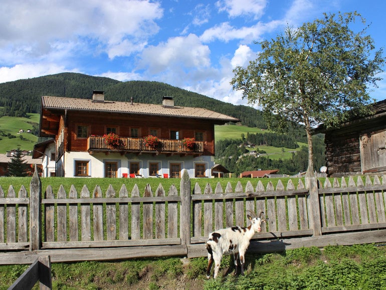 Das Resort entdecken
